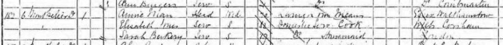 Anne Desborough Man on 1891 Census