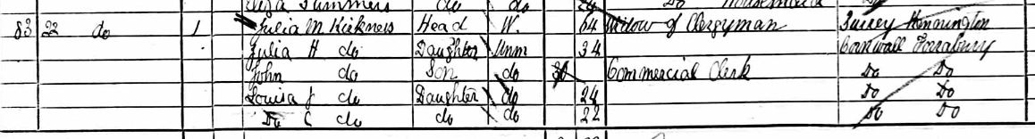 Julia Mary Kirkness on the 1881 Census
