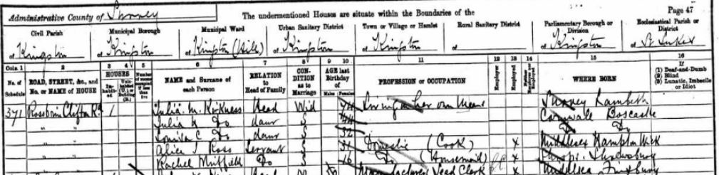 Julia Mary Kirkness on the 1891 census