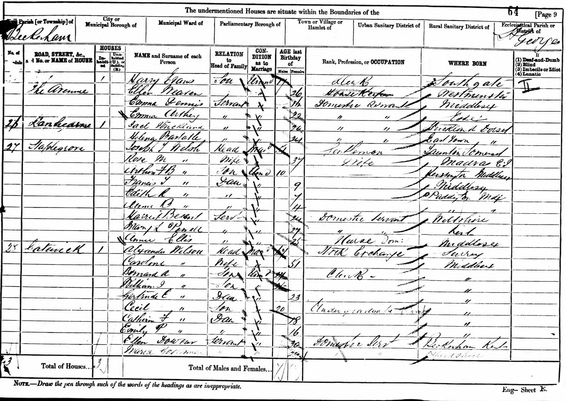 1881 A Census Wilson Family
