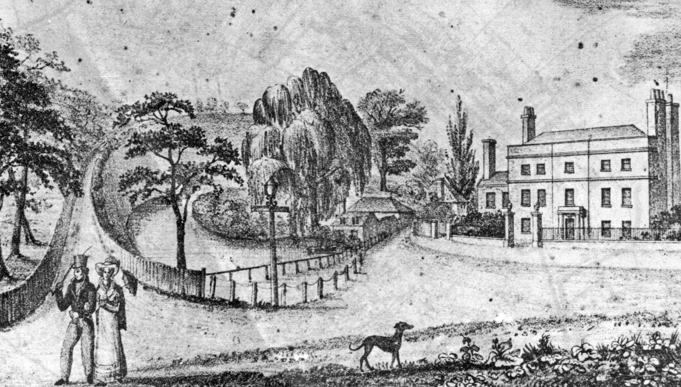 Elmfield House in the nineteenth century