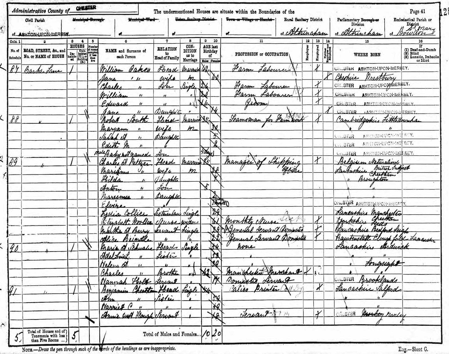 Schwabe on the 1891 census