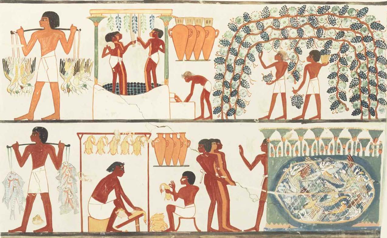 Francis Unwin Egyptian Tomb Drawings Plate XXVI