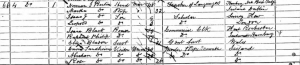 martha-sandheim-berlin-on-the-1881-census